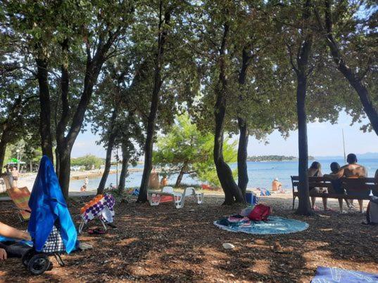 Apartments Summer Touch Петрчане Экстерьер фото